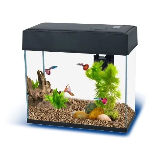 BASIC 8 Slim (8L/2Ga.)