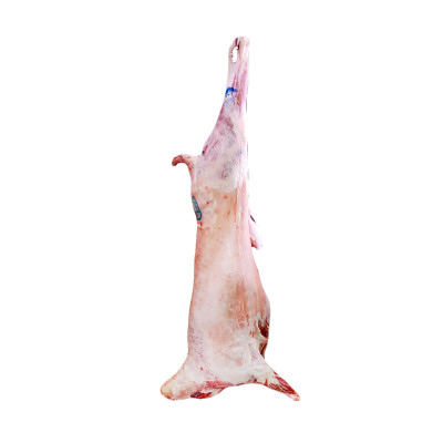 خاروف بلدي طازج