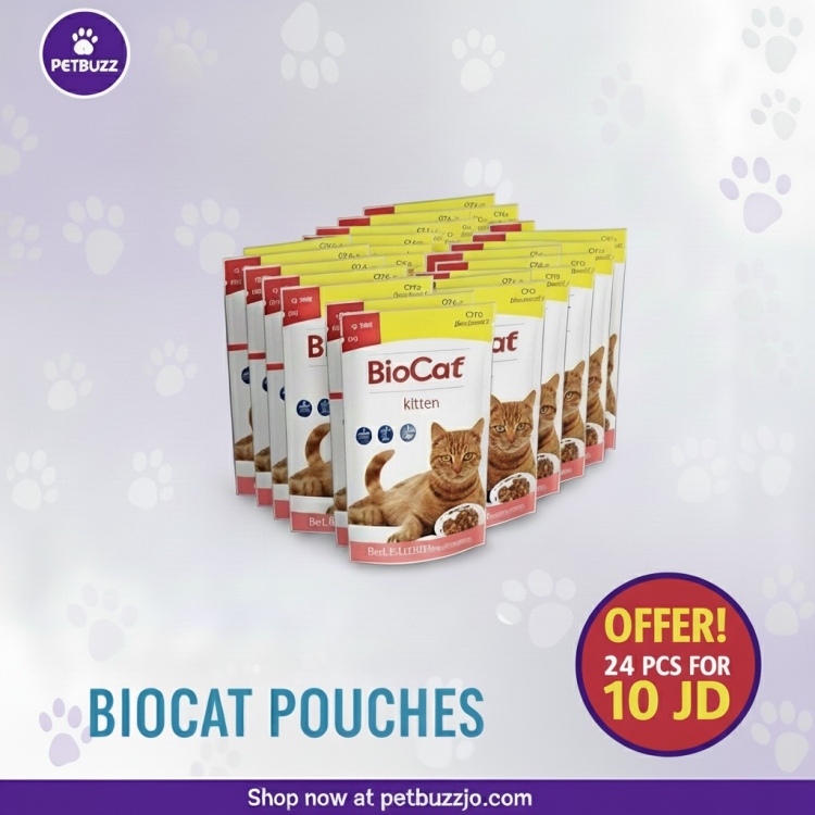 Bio cat wetfood offer (24pc 100gm) only 10 jd