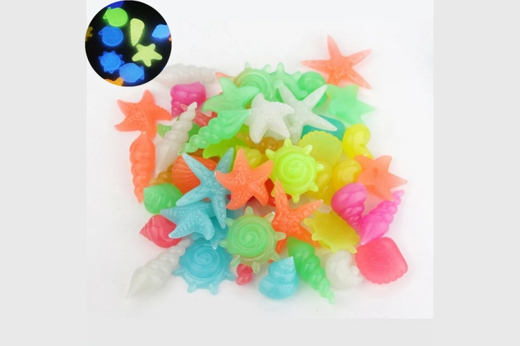 صدف حوض مضيء