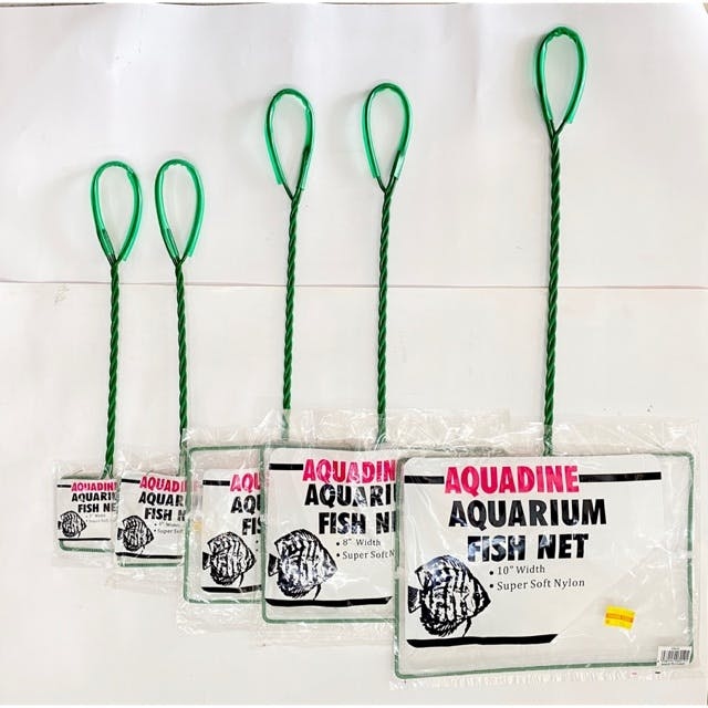 شبكة سمك  اخضر