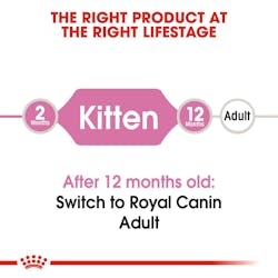 Royal Canin للقطط الصغيرة 