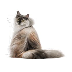 Royal Canin للعناية بالشعر والبشرة 