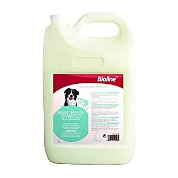 شامبو بيولاين