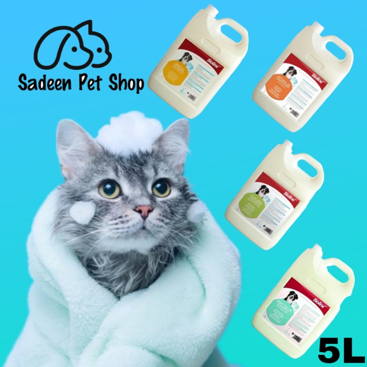 شامبو بيولاين