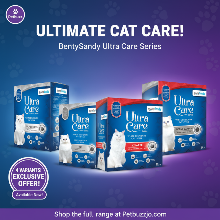 bentysandy ultra care litter (Silver Ions) 8 L Sensitive Cats Product