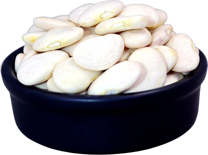 فاصولياء بيضاء عريضة