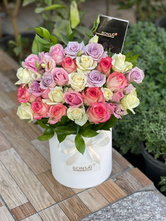 جوري من بونساي