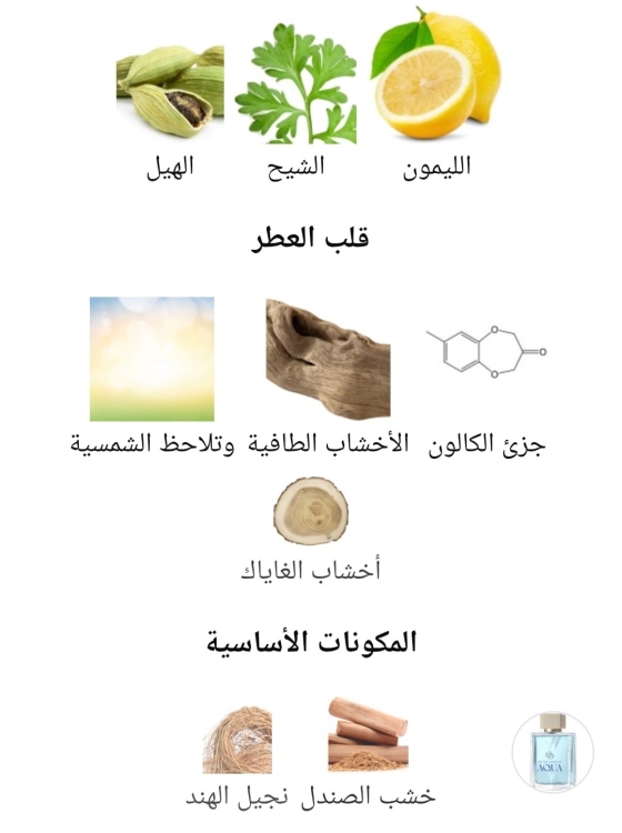 Mister Giordani Aqua EdT parfum perfume Oriflame 42837 