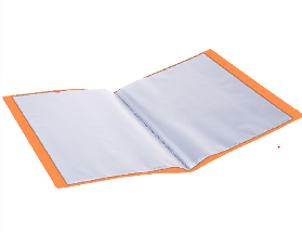 File Pockets 10Pcs,Orange