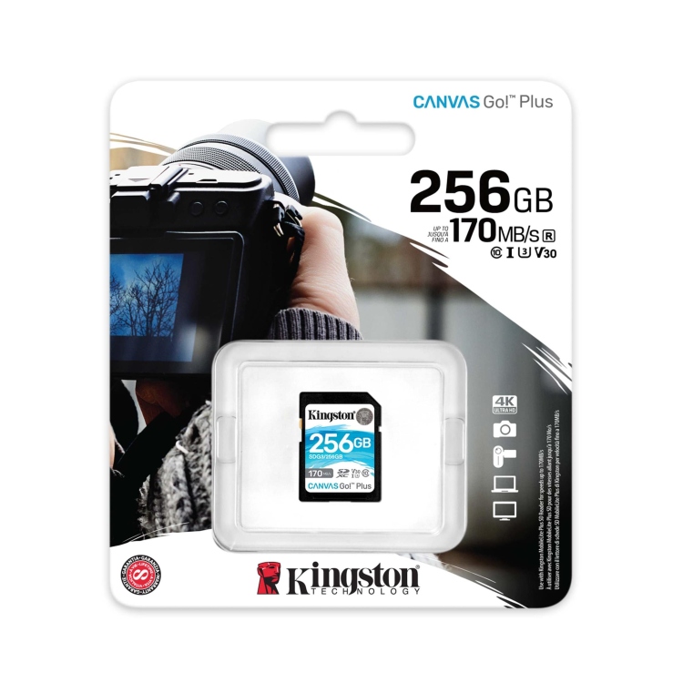 مومري كاميرا 256GB 170MB Kingston 