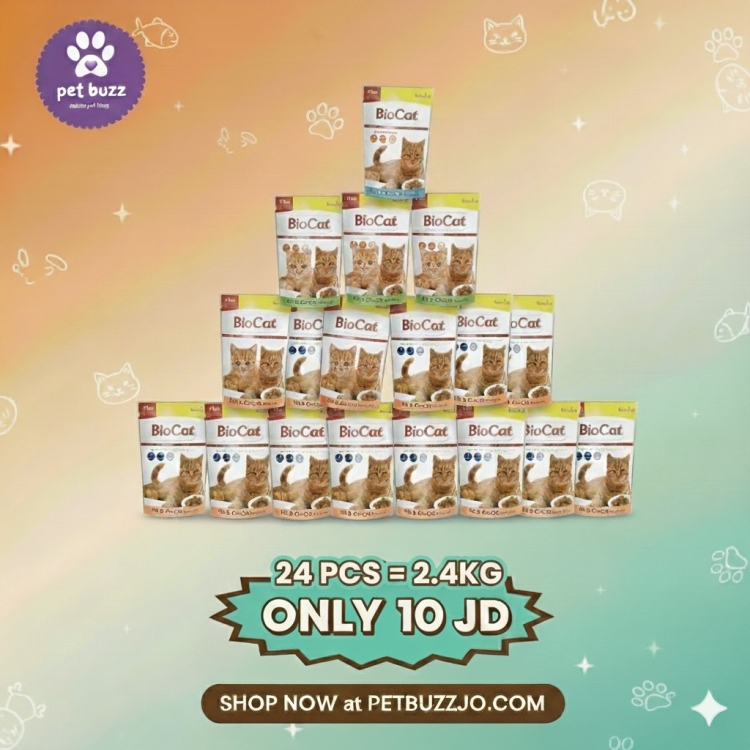 Bio cat wetfood offer (24pc 100gm) only 10 jd