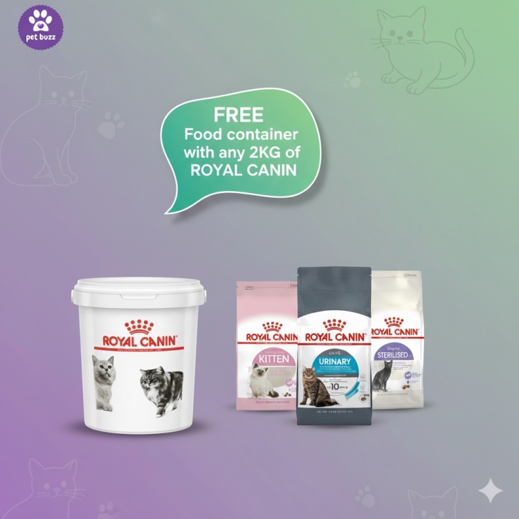 Royal canin cat food 2kg offer with food containers 