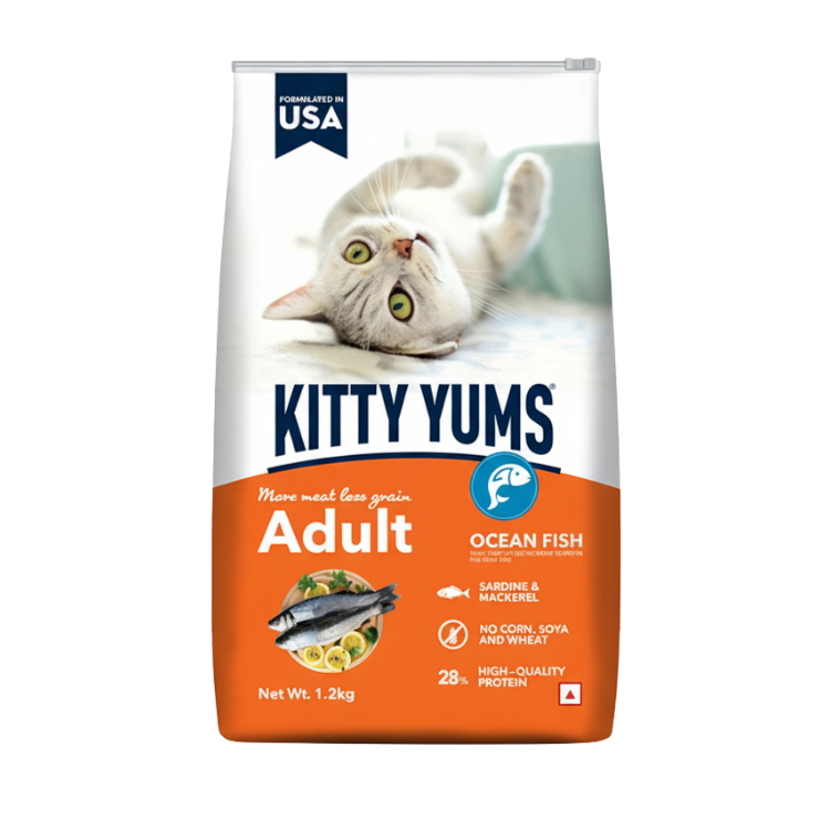كيتي يمز طعام جاف للقطط البالغة بنكهة أسماك المحيط