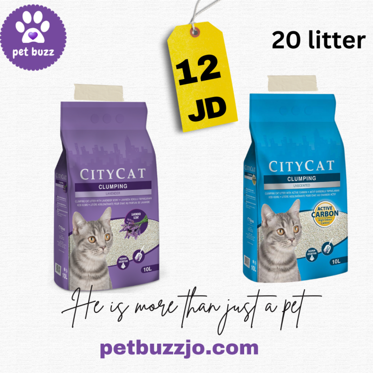 Highly absorbent: Citycat Clumping Cat Litter quickly absorbs cat urine, 