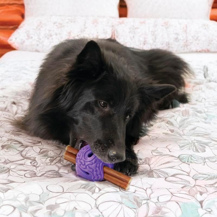  KONG Squeezz Flex Ball – Flexible Treat & Chew Holder for Dogs 