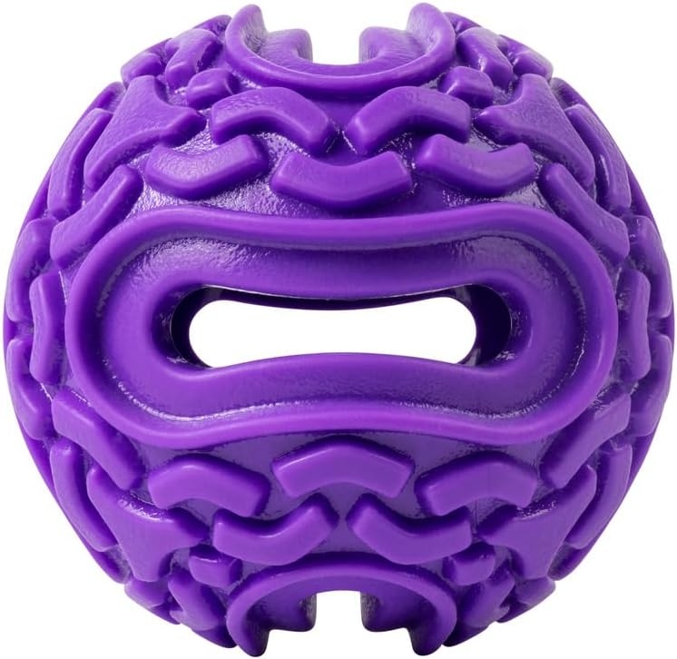  KONG Squeezz Flex Ball – Flexible Treat & Chew Holder for Dogs 