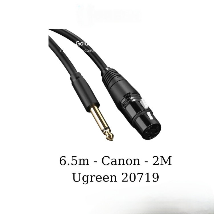 وصلة UGREEN 6.5mmto Connon Female  2M