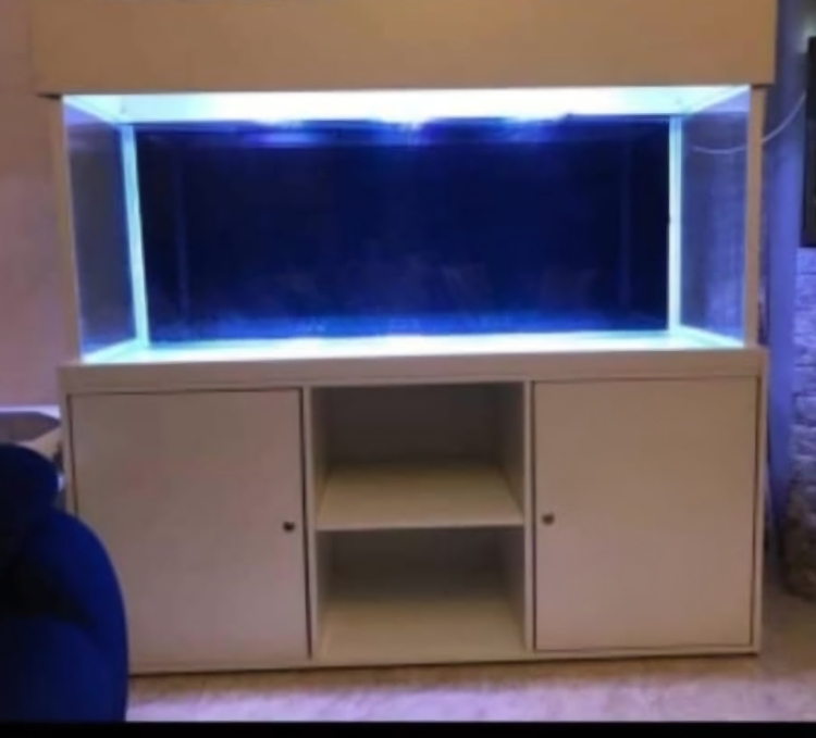 حوض سمك تفصيل