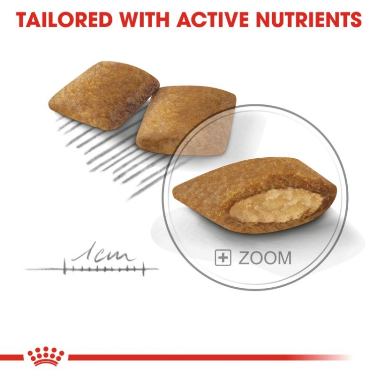 Royal Canin Exigent