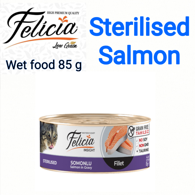 felicia wet food cans 85g sterilised salmon  fillet   سعر الحبة 0.75 الصندوق يحتوي على 24 حبة