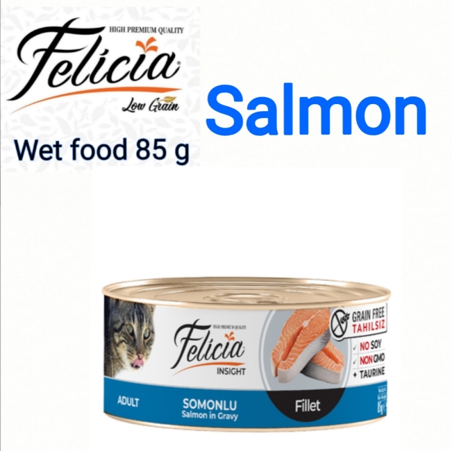 felicia wet food cans 85g salmon fillet  سعر الحبة 0.75 الصندوق يحتوي على 24 حبة