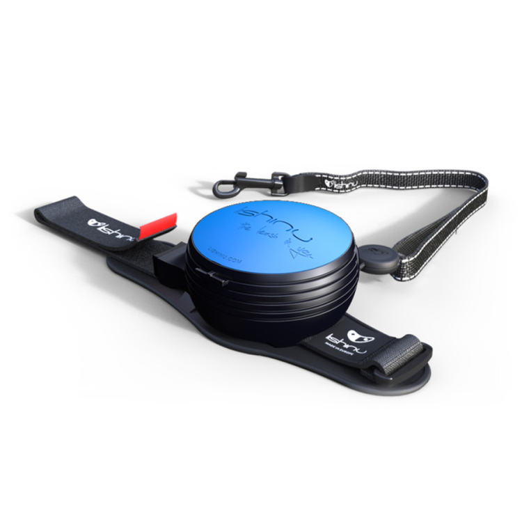 التحكم الذاتي