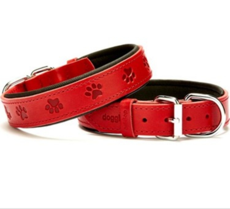 طوق جلد 3 سم 