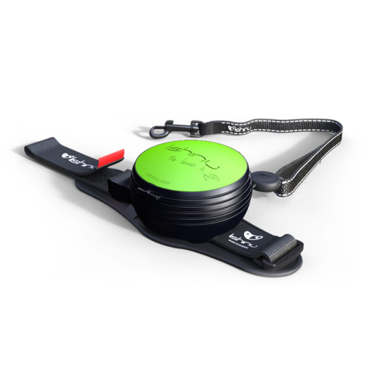 التحكم الذاتي