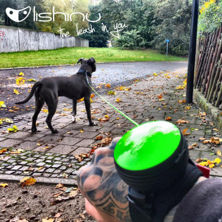 التحكم الذاتي