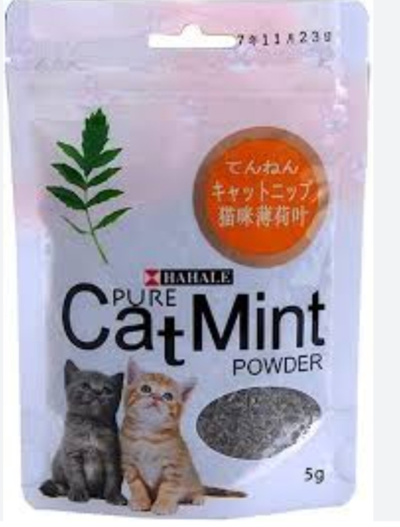Cat nip عدد ،12 بسعر.84 فرش  الحبه 