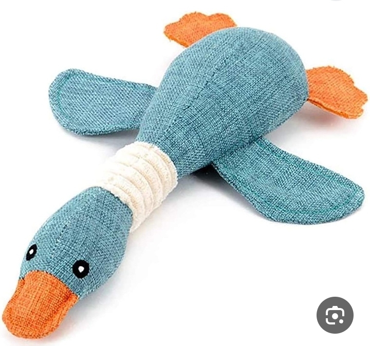 عضاضة بطة تزمر،  لعبة الإوزة البرية. 