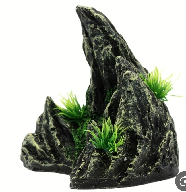 زينة أحواض جبل