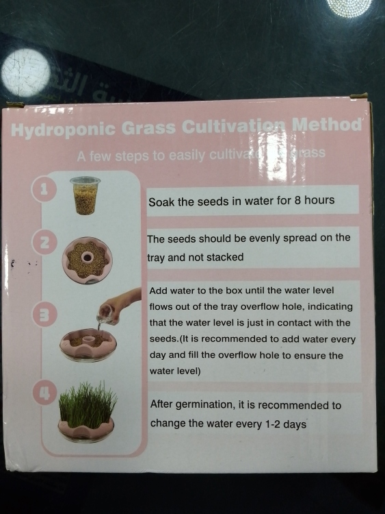 عشبة القطط (Cat Grass)