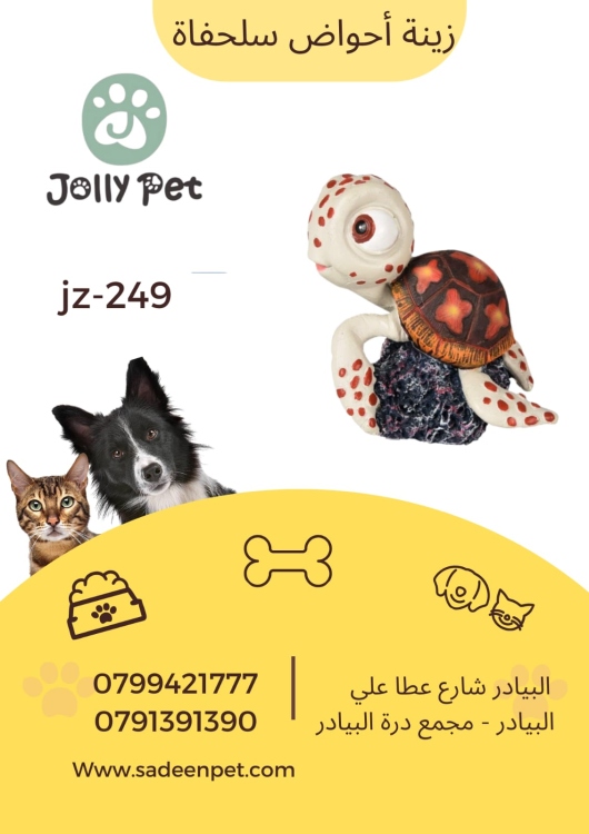 سلحفاة زينة حوض سمك