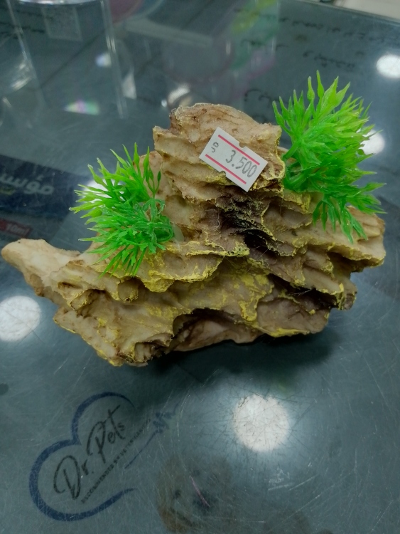 صخرة زينة لحوض السمك