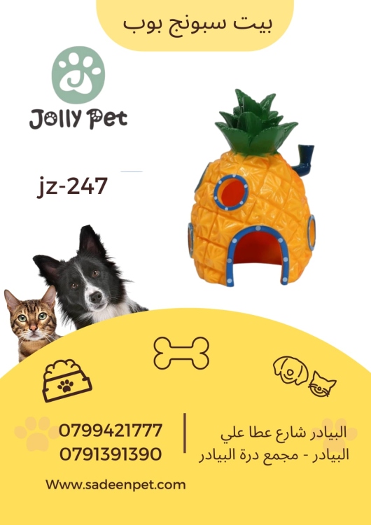 بيت سبونج بوب