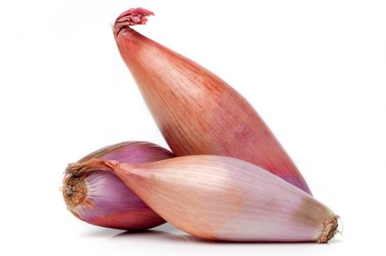 شالوت 250غم