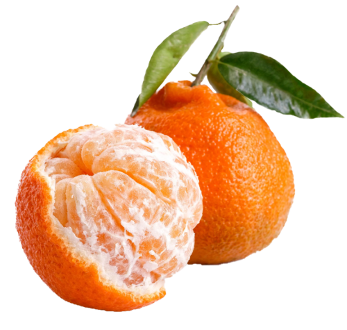 مندلينا