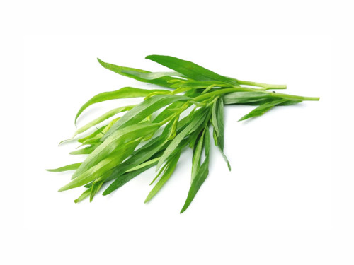 طرخون - مستورد 20غم