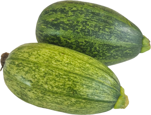كوسا بلدي