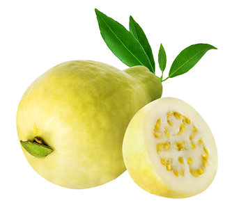 جوافة بلدية