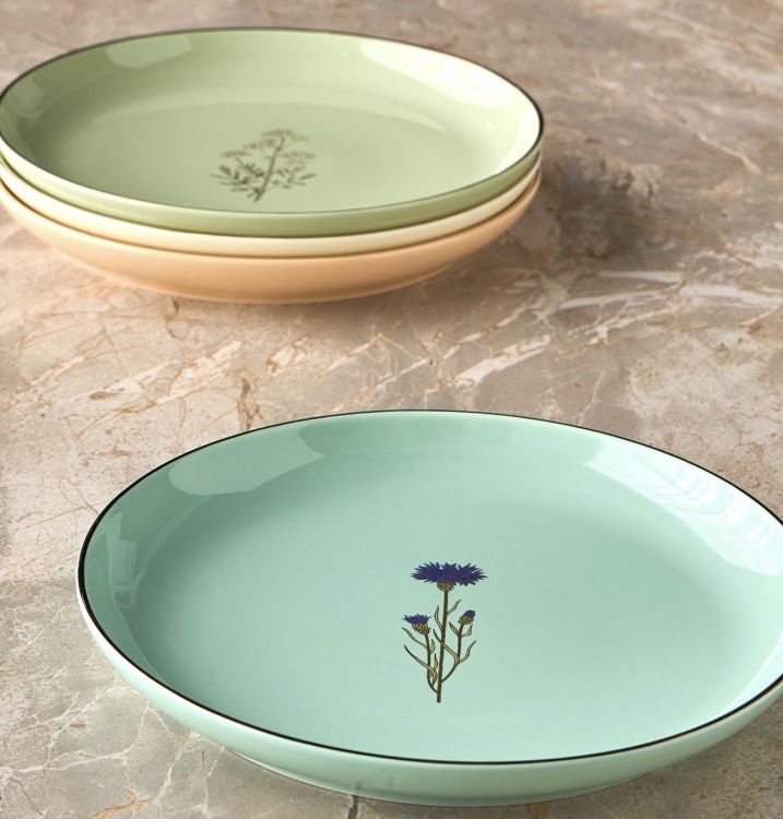 Dinner plates - set of 4 