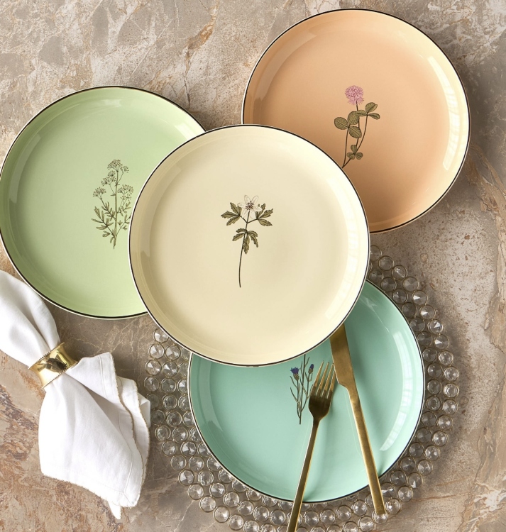 Dinner plates - set of 4 