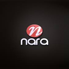 كاتشب نارا 4.5 كيلو