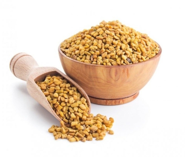 حلبه حب