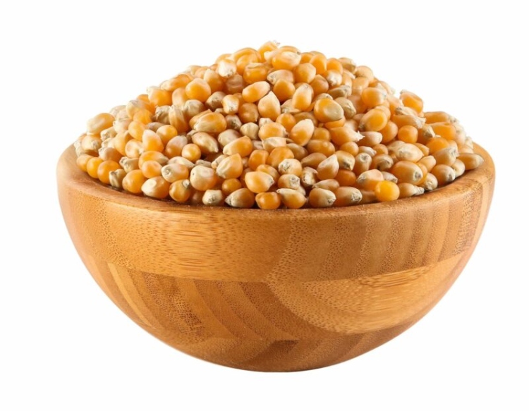بوشار