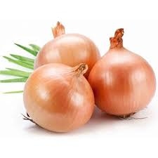 بصل