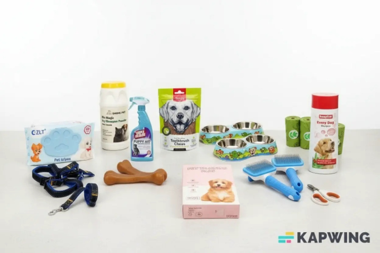 Dog Essentials Bundle – Everything Your Pup Needs! 🐾