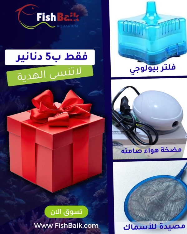 الفلترة الاقتصادية